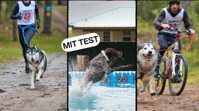 Wasser- und Outdoor-Sportarten: Welche passt zu euch? | Mit Test