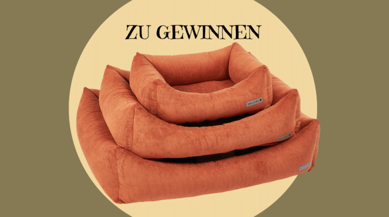 Hundebett Fiete Cord Lounge von WOLTERS zu gewinnen