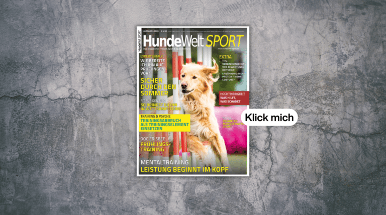 HundeWelt SPORT 2/2026: Neue Ausgabe ab sofort erhältlich
