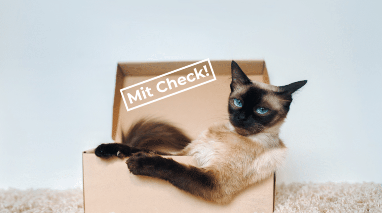 Warum deine Katze ihr Spielzeug ignoriert, und was sie wirklich will