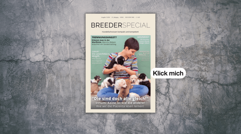 BreederSpecial 3.2026: Neue Ausgabe ab sofort erhältlich