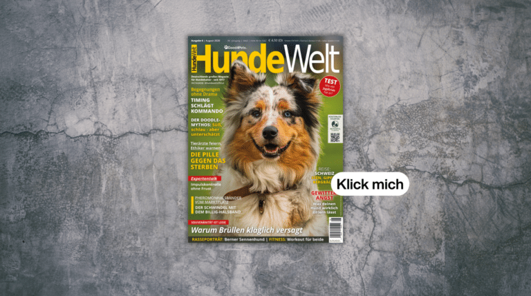 Neue HundeWelt 8 / August 2026 ist da