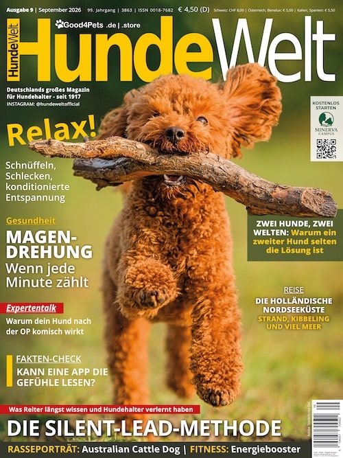 Titelseite der HundeWelt, Ausgabe 9/2026, mit der Silent-Lead-Methode