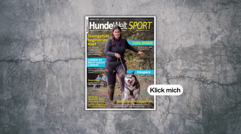 Neue HundeWelt SPORT 4/2026 ist da