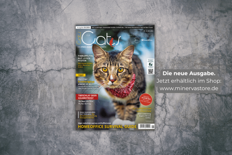 Neue OUR CATS 9 / September 2026 ist da