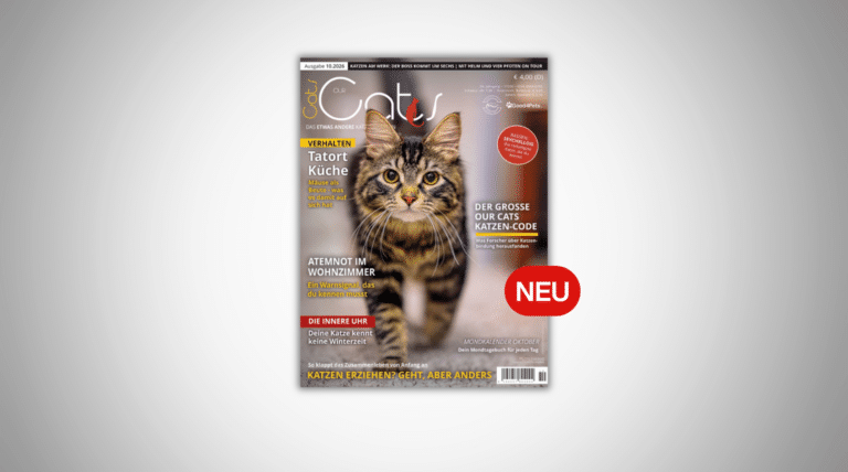 Neue OUR CATS 10 / Oktober 2026 ist da