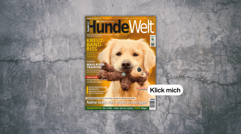 Neue HundeWelt 10 / Oktober 2026 ist da