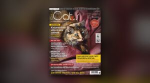 Titelseite der OUR CATS 11/2026 vor weichgezeichnetem Hintergrund