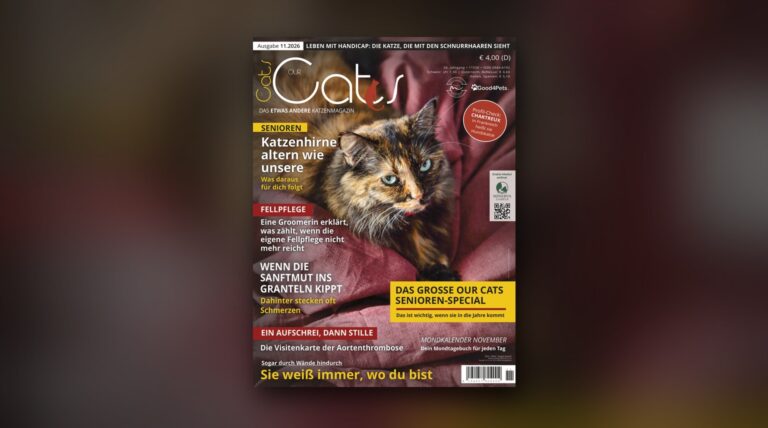 Titelseite der OUR CATS 11/2026 vor weichgezeichnetem Hintergrund