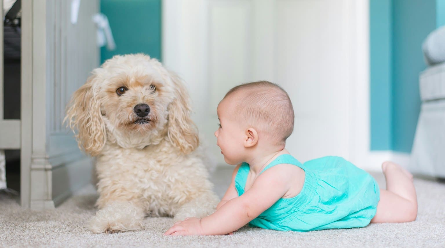 Baby liegt auf dem Teppich, daneben ein Hund, der ruhig zuschaut