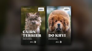 Die Cover der E-Book-Ratgeber Cairn Terrier und Do Khyi aus der Reihe Top-Hunderassen