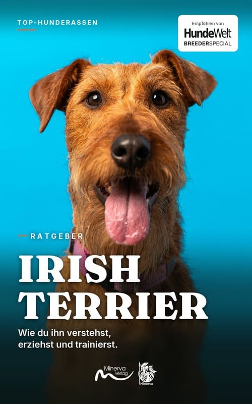 Cover des E-Books Irish Terrier, Ratgeber aus der Reihe Top-Hunderassen