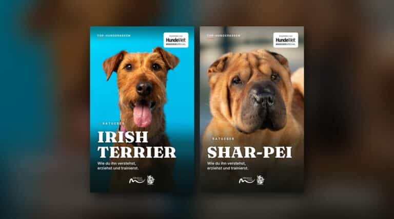 Die Cover der E-Book-Ratgeber Irish Terrier und Shar-Pei aus der Reihe Top-Hunderassen nebeneinander