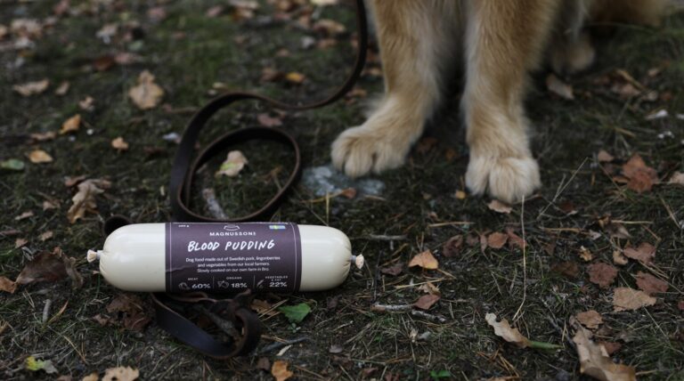 Rolle Magnussons Blutwurst für Hunde auf herbstlichem Waldboden, daneben eine Leine und die Pfoten eines Hundes