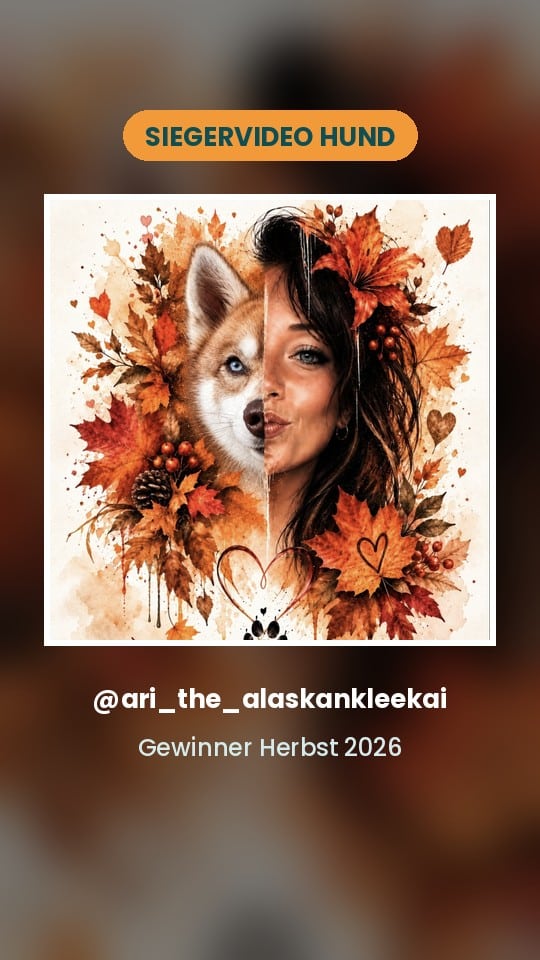 Vorschaubild zum Siegervideo im Hunde-Finale mit dem Profilbild von ari_the_alaskankleekai