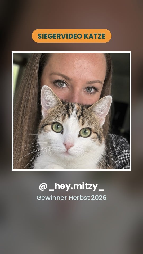 Vorschaubild zum Siegervideo im Katzen-Finale mit dem Profilbild von _hey.mitzy_