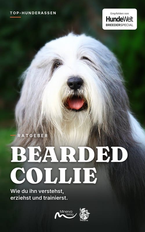 Cover des E-Books Bearded Collie aus der Reihe Top-Hunderassen