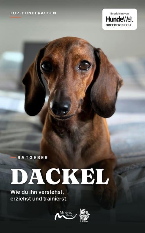 Cover des E-Books Dackel aus der Reihe Top-Hunderassen