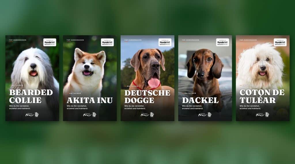 Die 5 Cover der E-Book-Reihe Top-Hunderassen: Bearded Collie, Akita Inu, Deutsche Dogge, Dackel und Coton de Tuléar