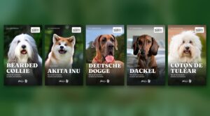 Die 5 Cover der E-Book-Reihe Top-Hunderassen: Bearded Collie, Akita Inu, Deutsche Dogge, Dackel und Coton de Tuléar