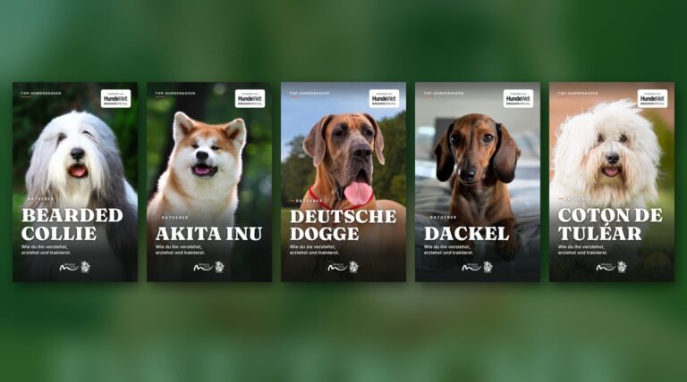 Die 5 Cover der E-Book-Reihe Top-Hunderassen: Bearded Collie, Akita Inu, Deutsche Dogge, Dackel und Coton de Tuléar