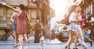 5 Tipps für entspanntes Shoppen mit Hund