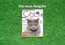 Our Cats 06.2022 – Die neue Ausgabe